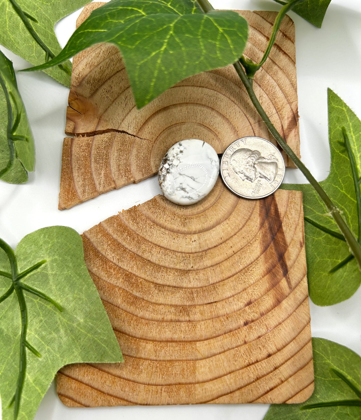 White Buffalo Cabs