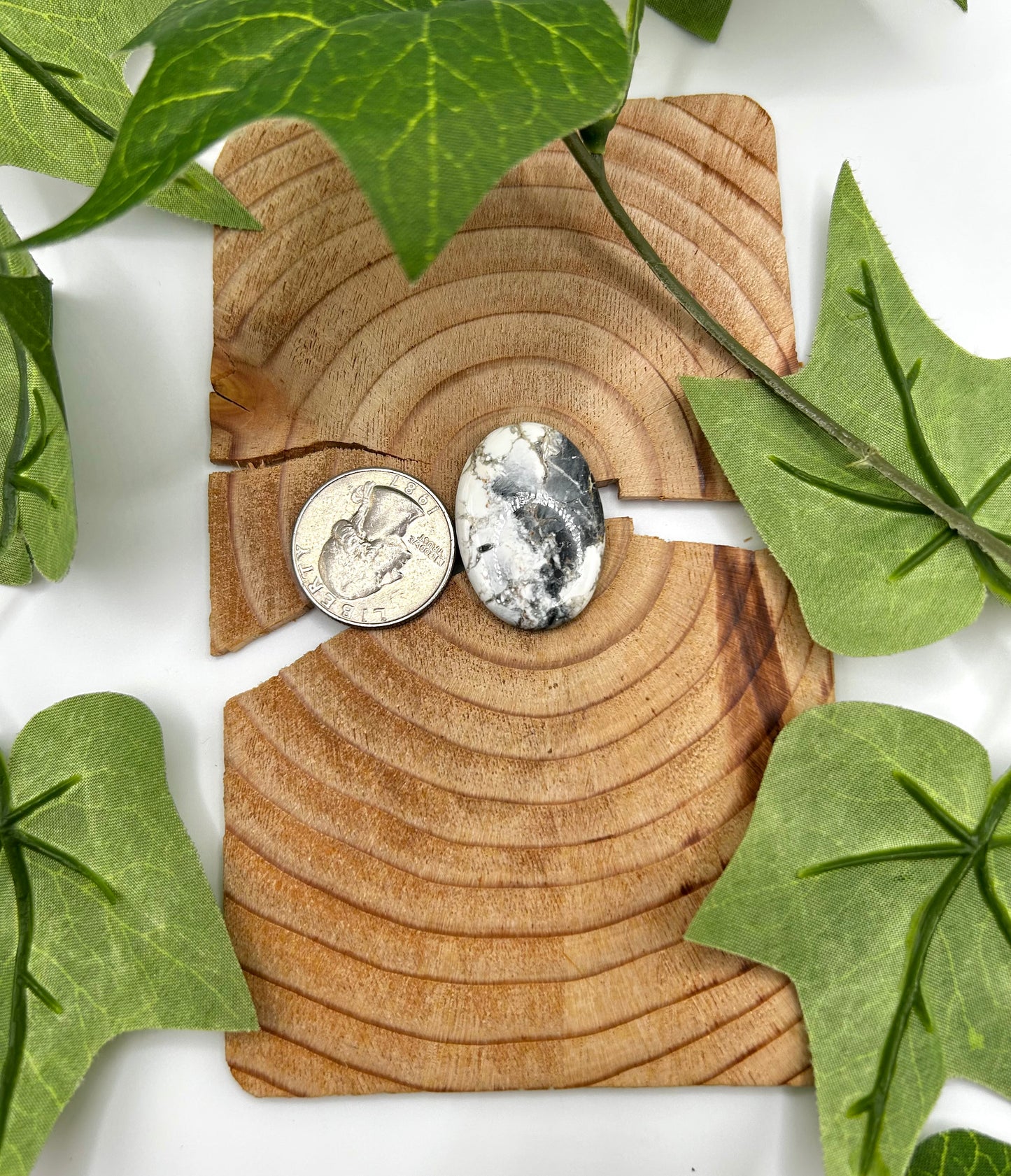 White Buffalo Cabs