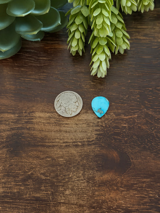 Blue Bird Turquoise Cab