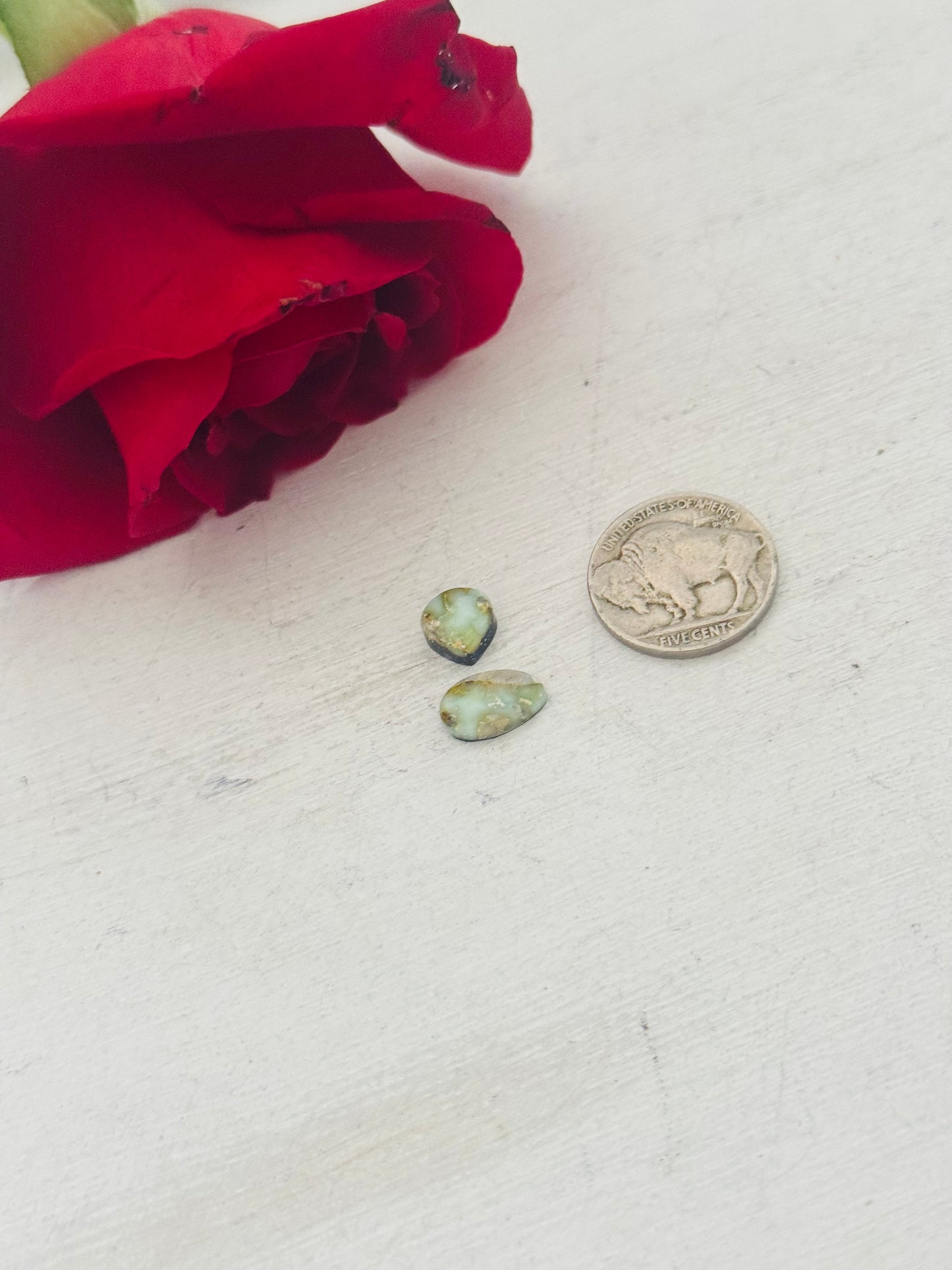 Palomino Variscite Cabs