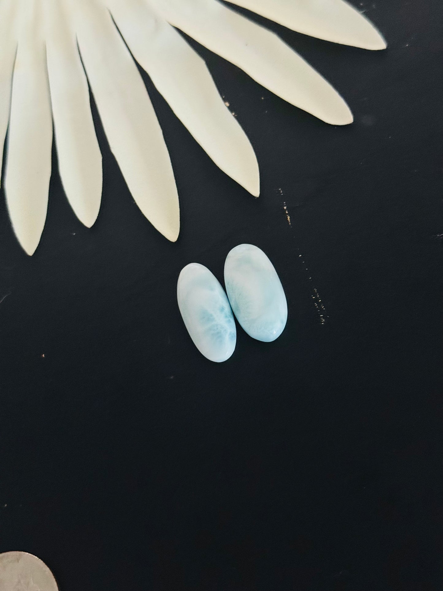 Larimar Cabs