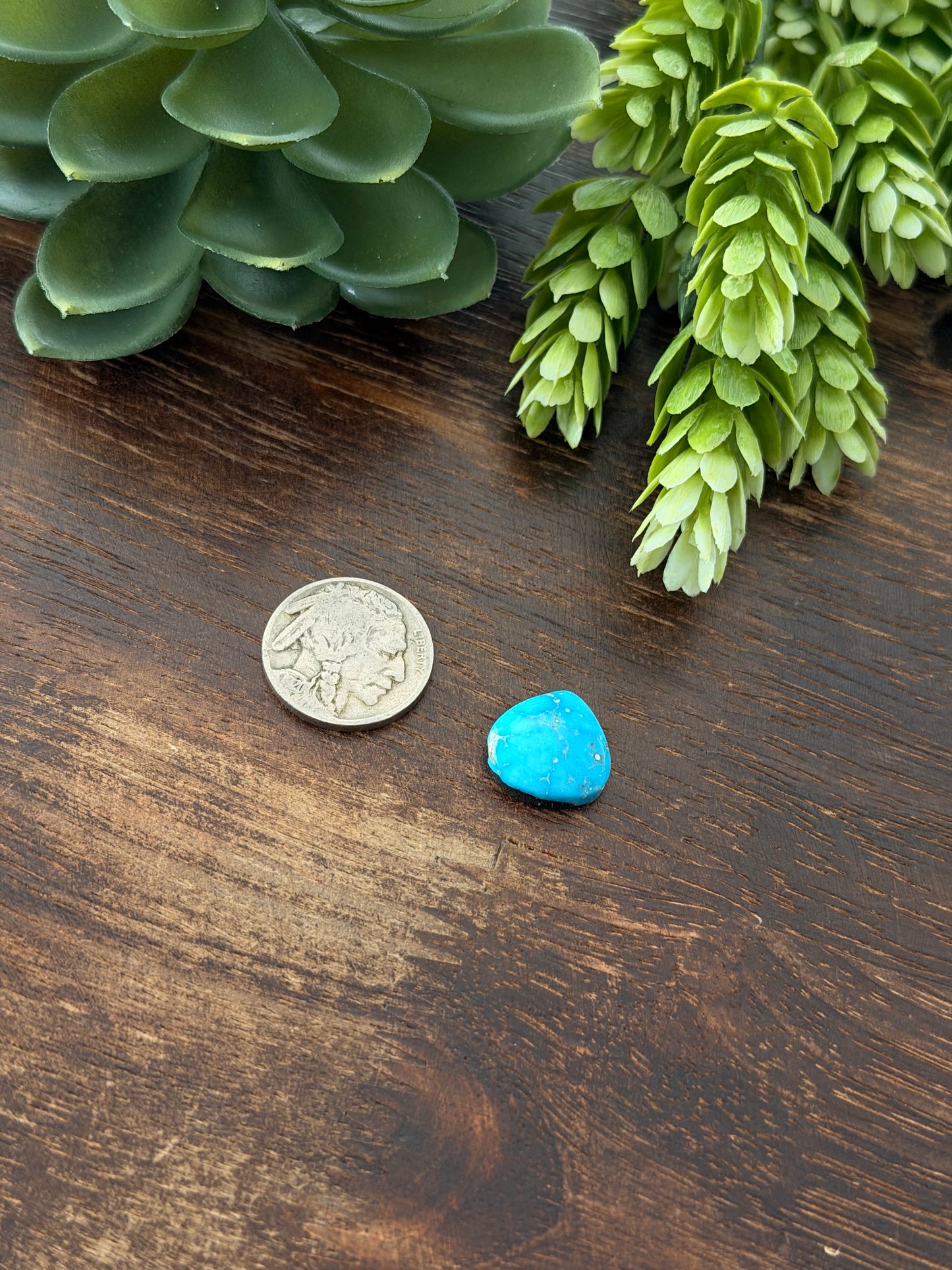Blue Bird Turquoise Cab