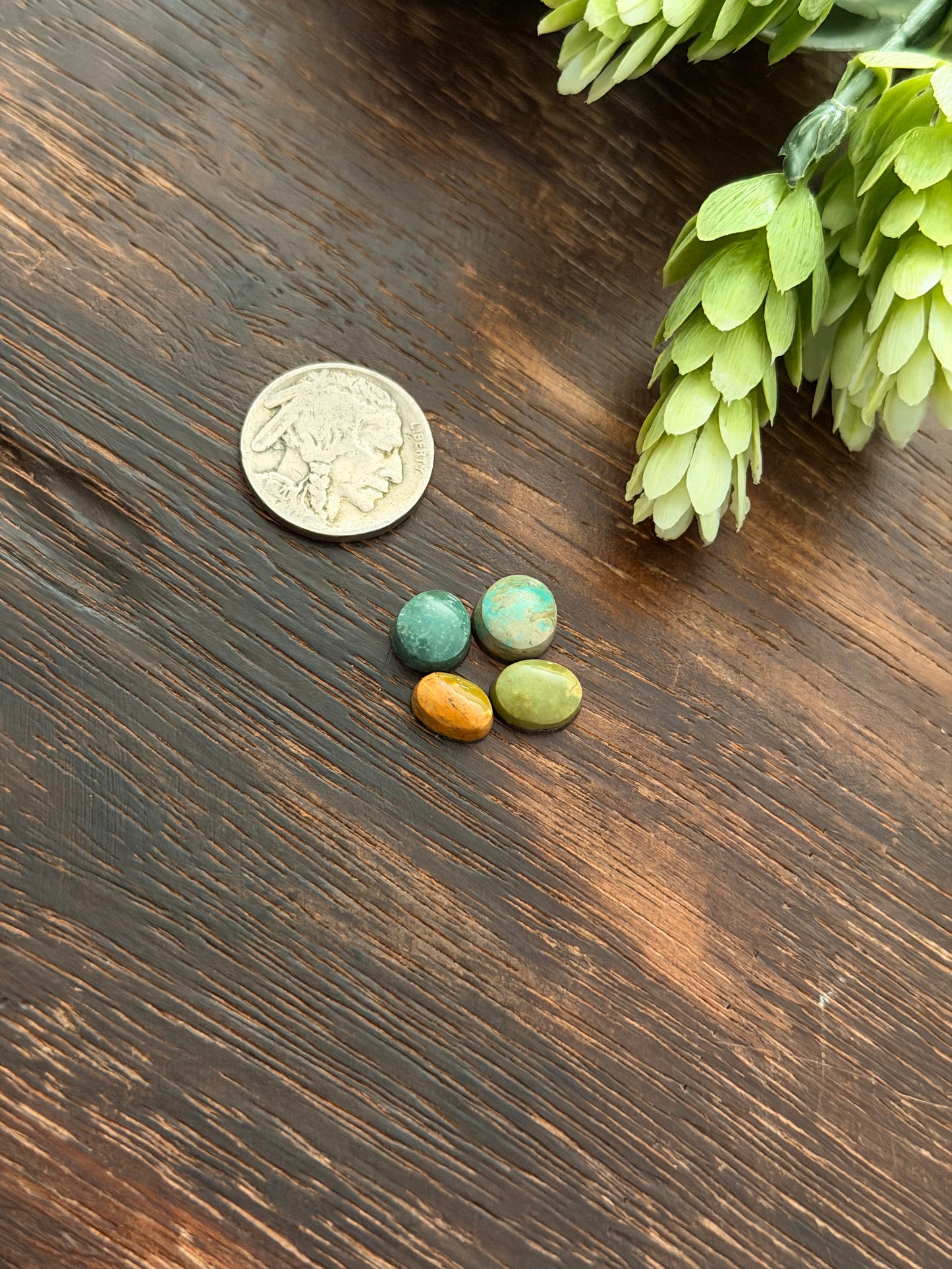 Evans Turquoise Cabs