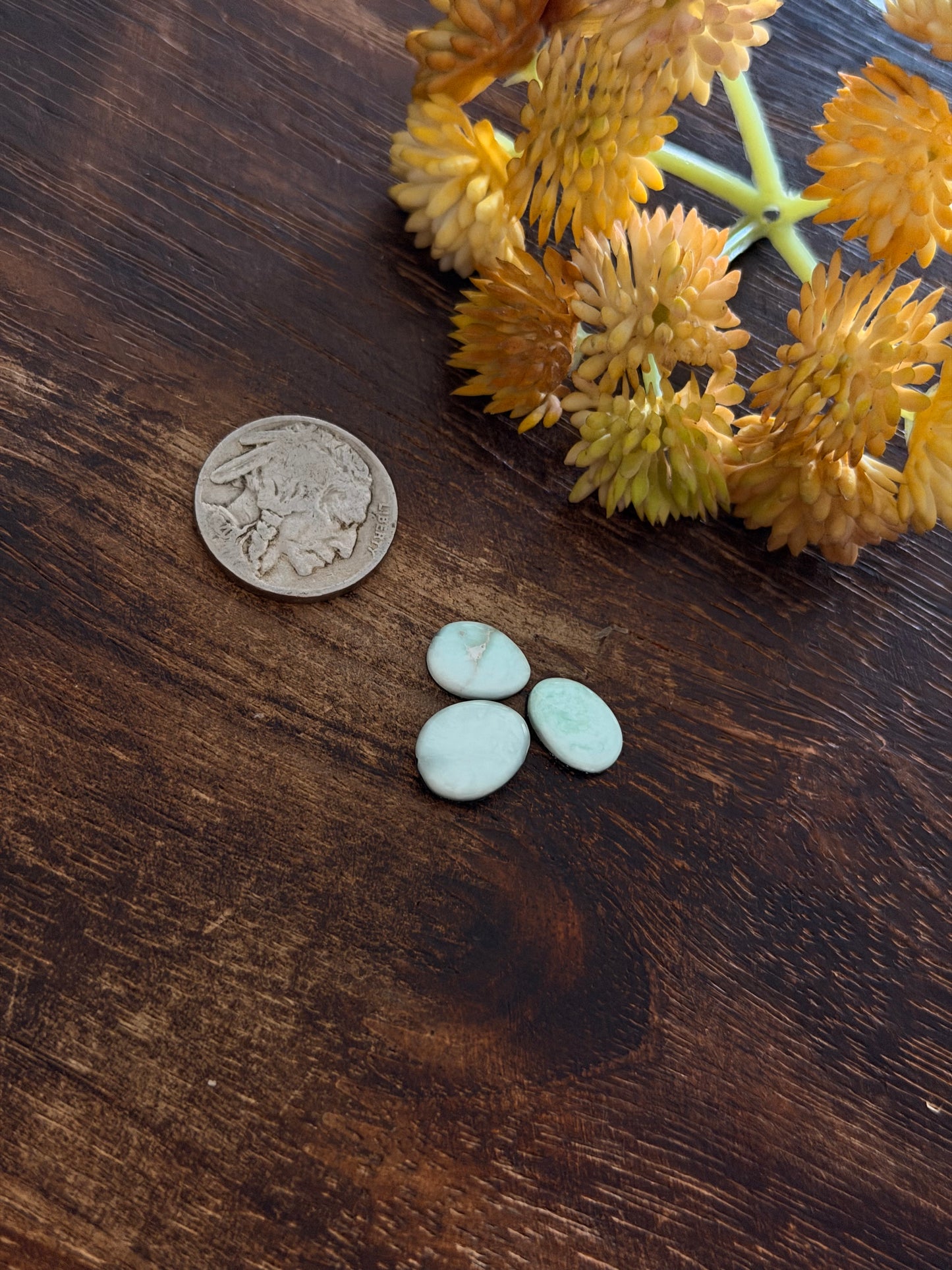 Paloma Variscite Cabs
