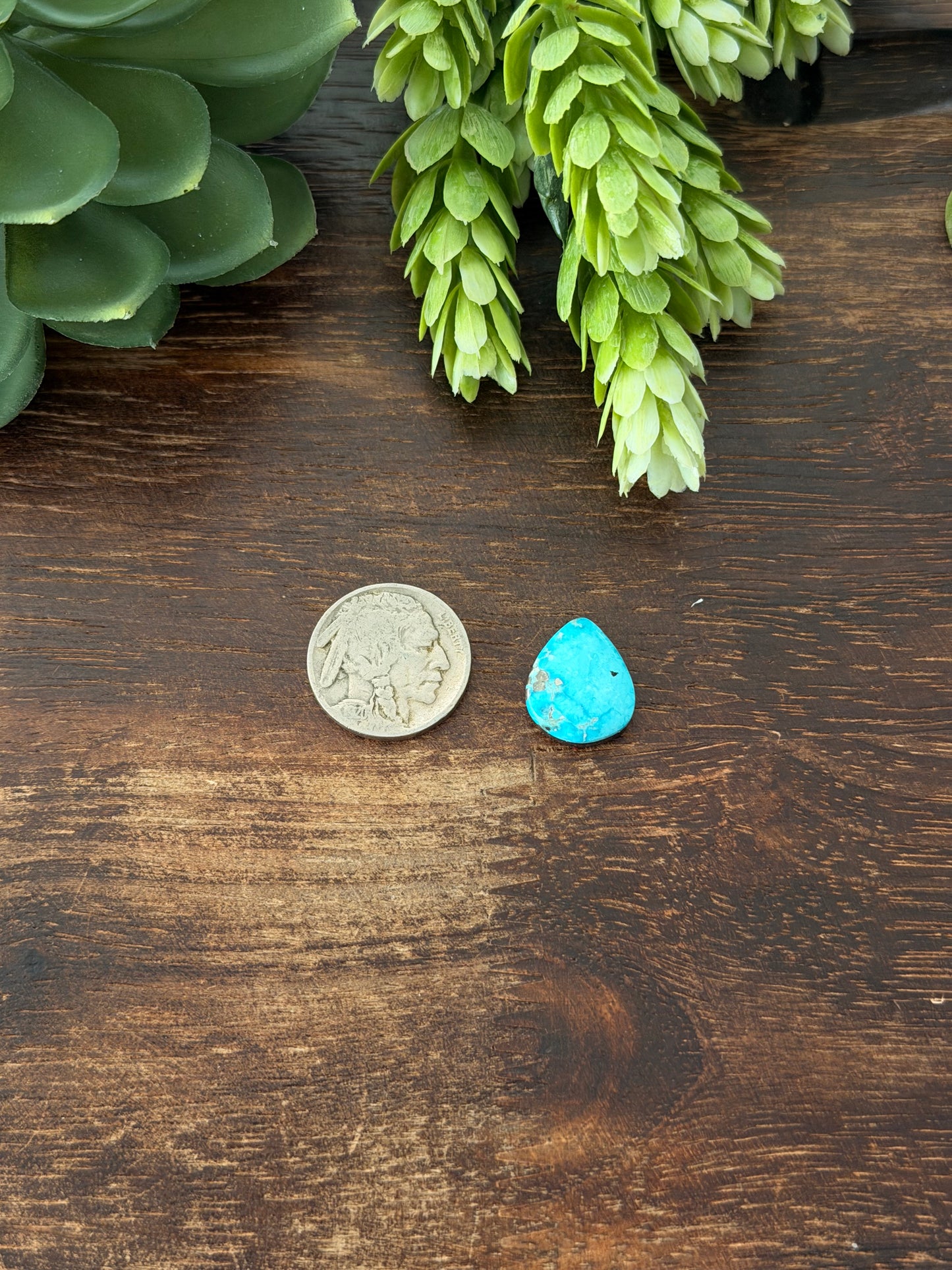 Blue Bird Turquoise Cab