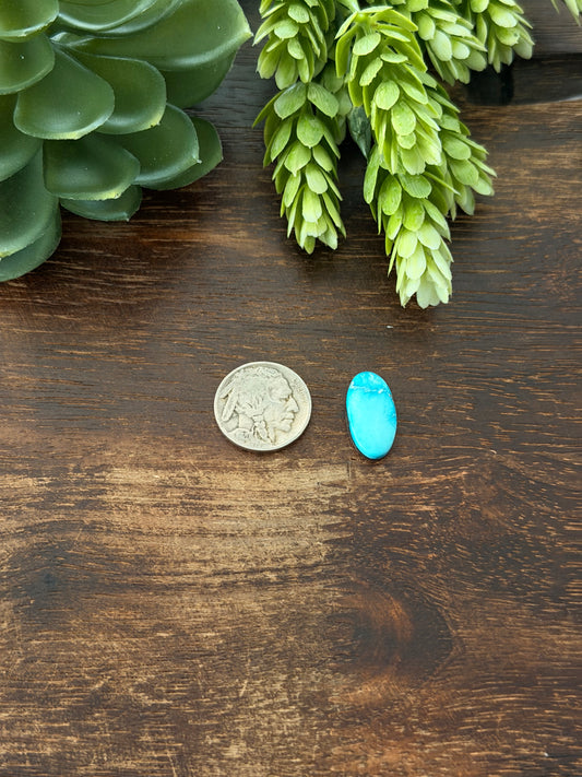 Blue Bird Turquoise Cab