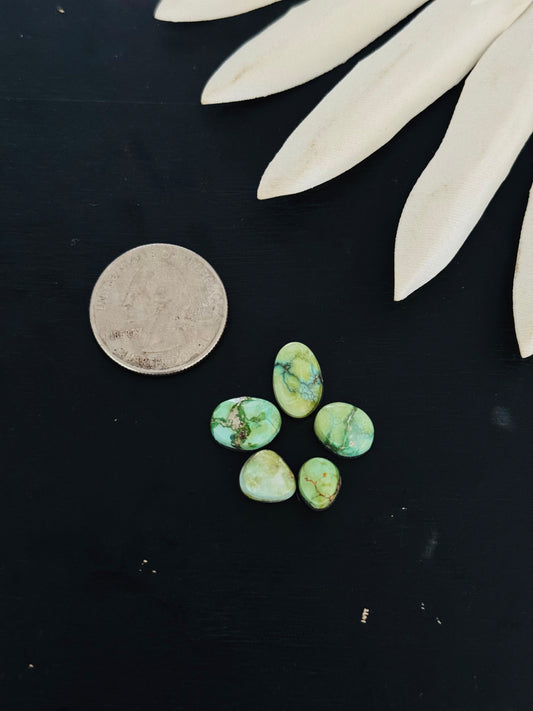 Natural Sonoran Gold Turquoise Cabs