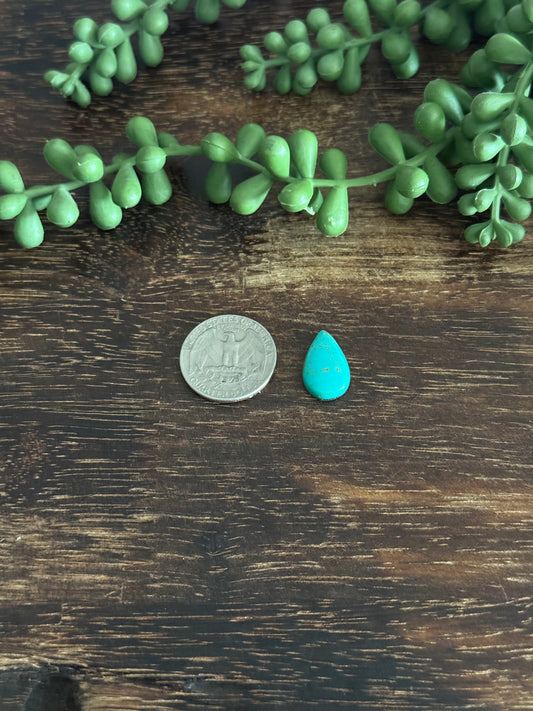 Kingman Turquoise Cab