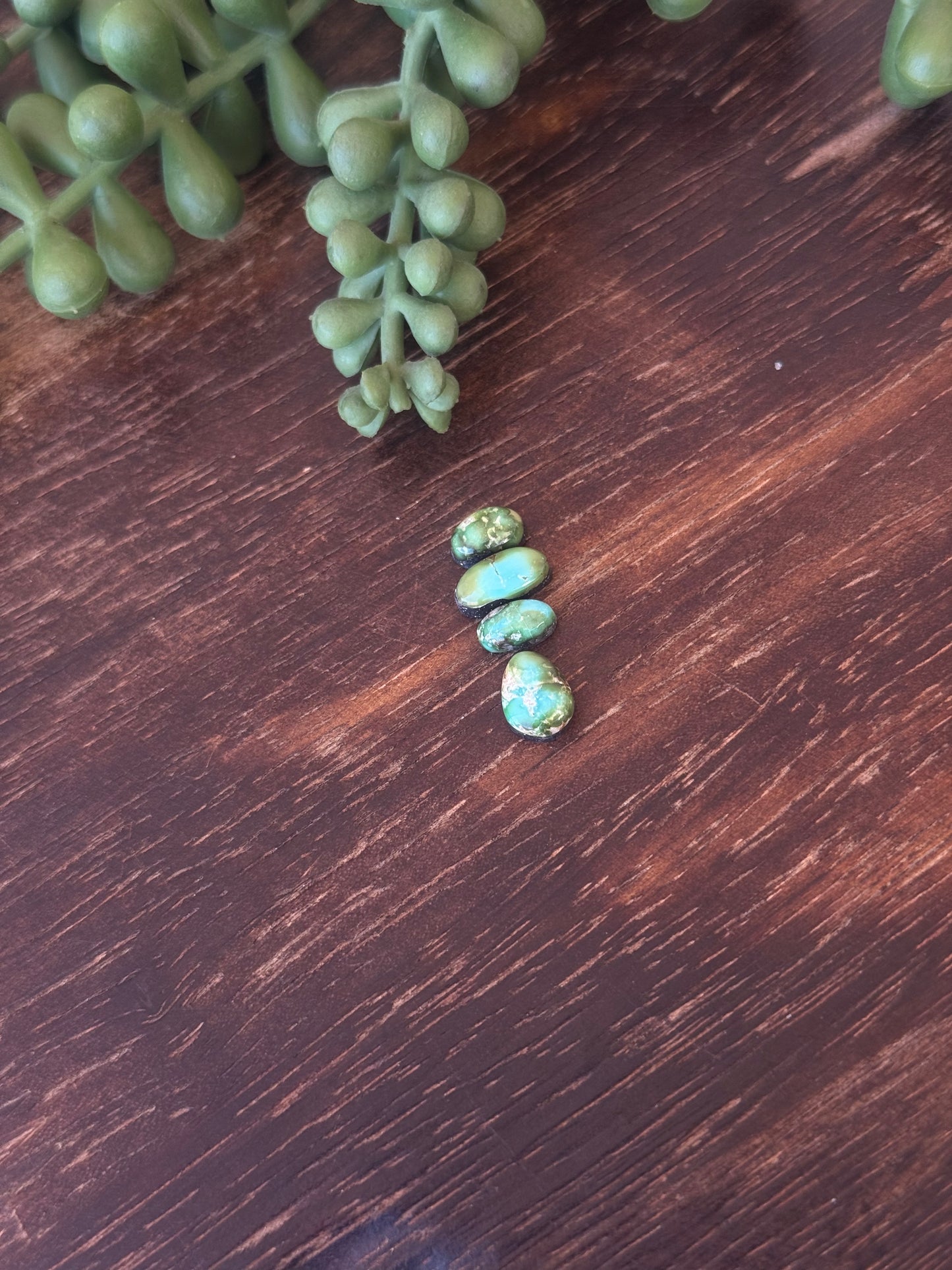 Sonoran Mountain Turquoise Cabs