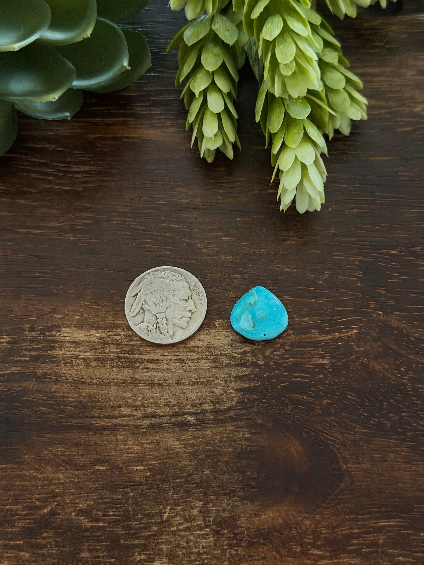 Blue Bird Turquoise Cab