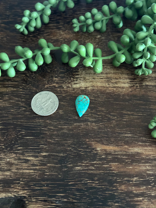 Kingman Turquoise Cab