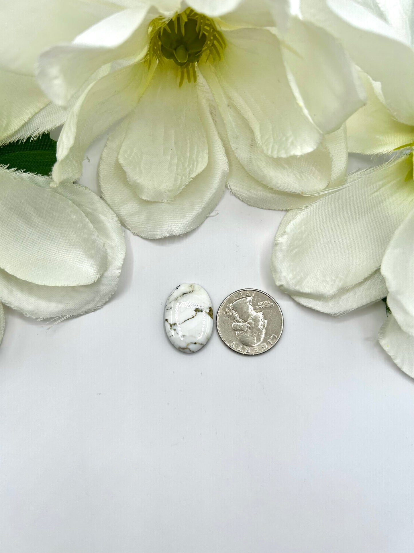 White Buffalo Cabs