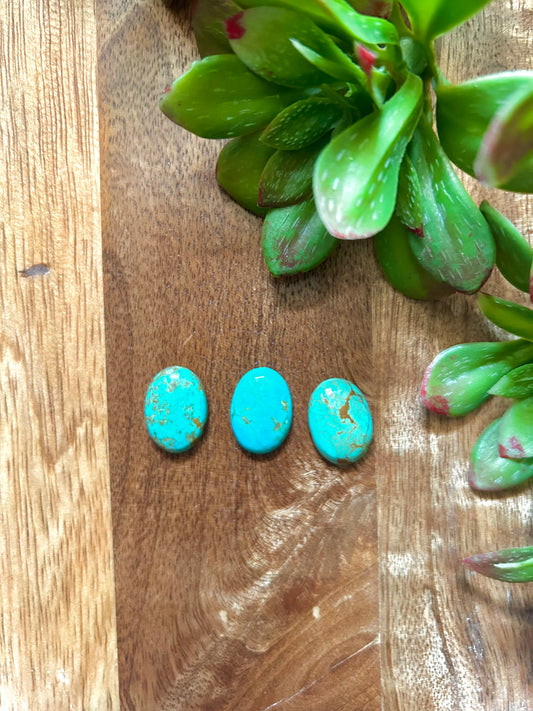 Kingman Turquoise Cabs