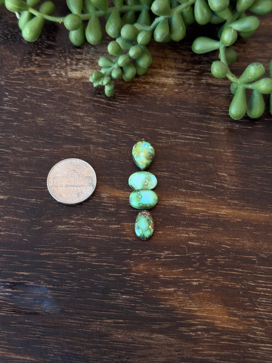 Sonoran Mountain Turquoise Cabs
