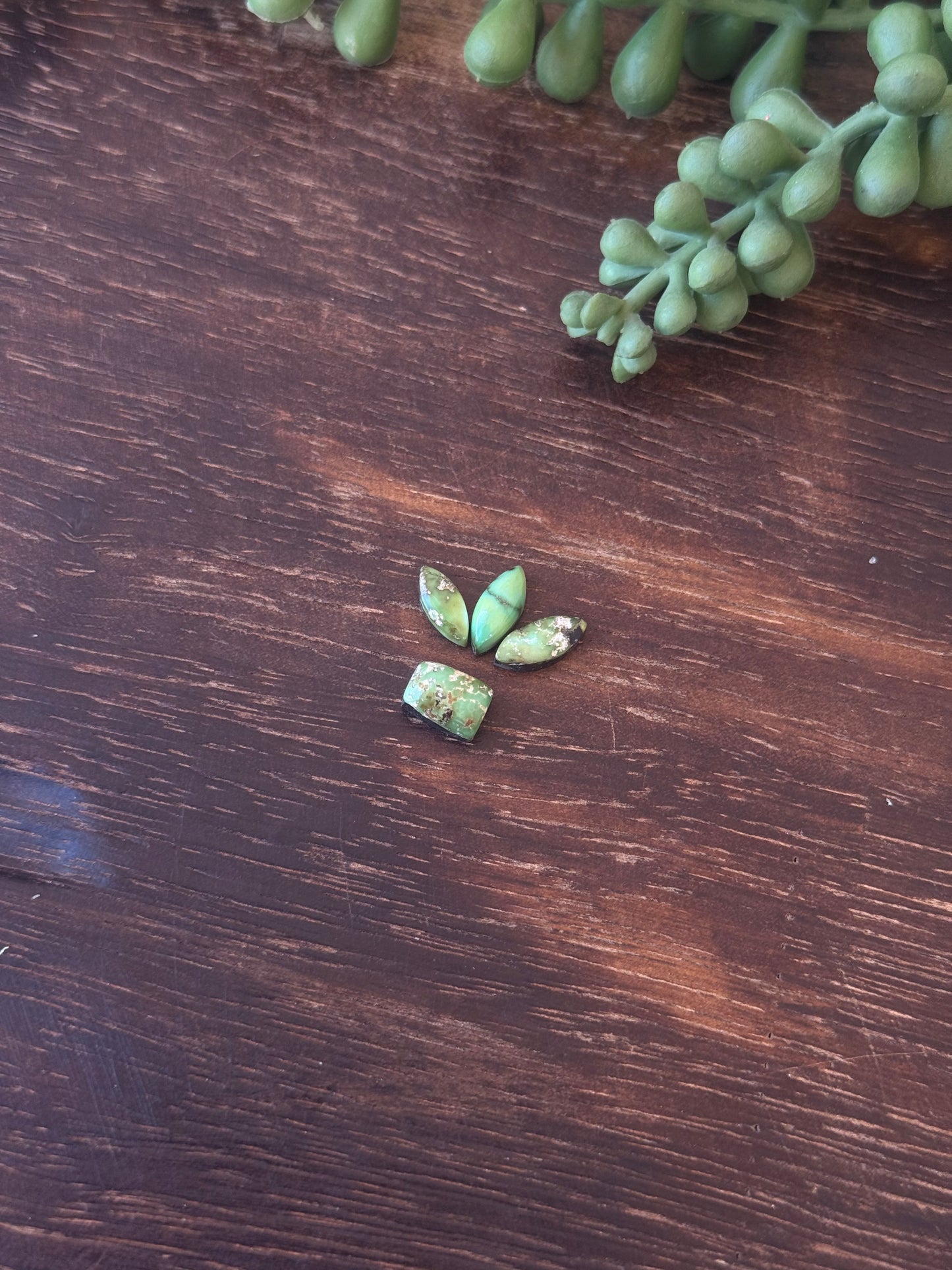 Sonoran Mountain Turquoise Cabs