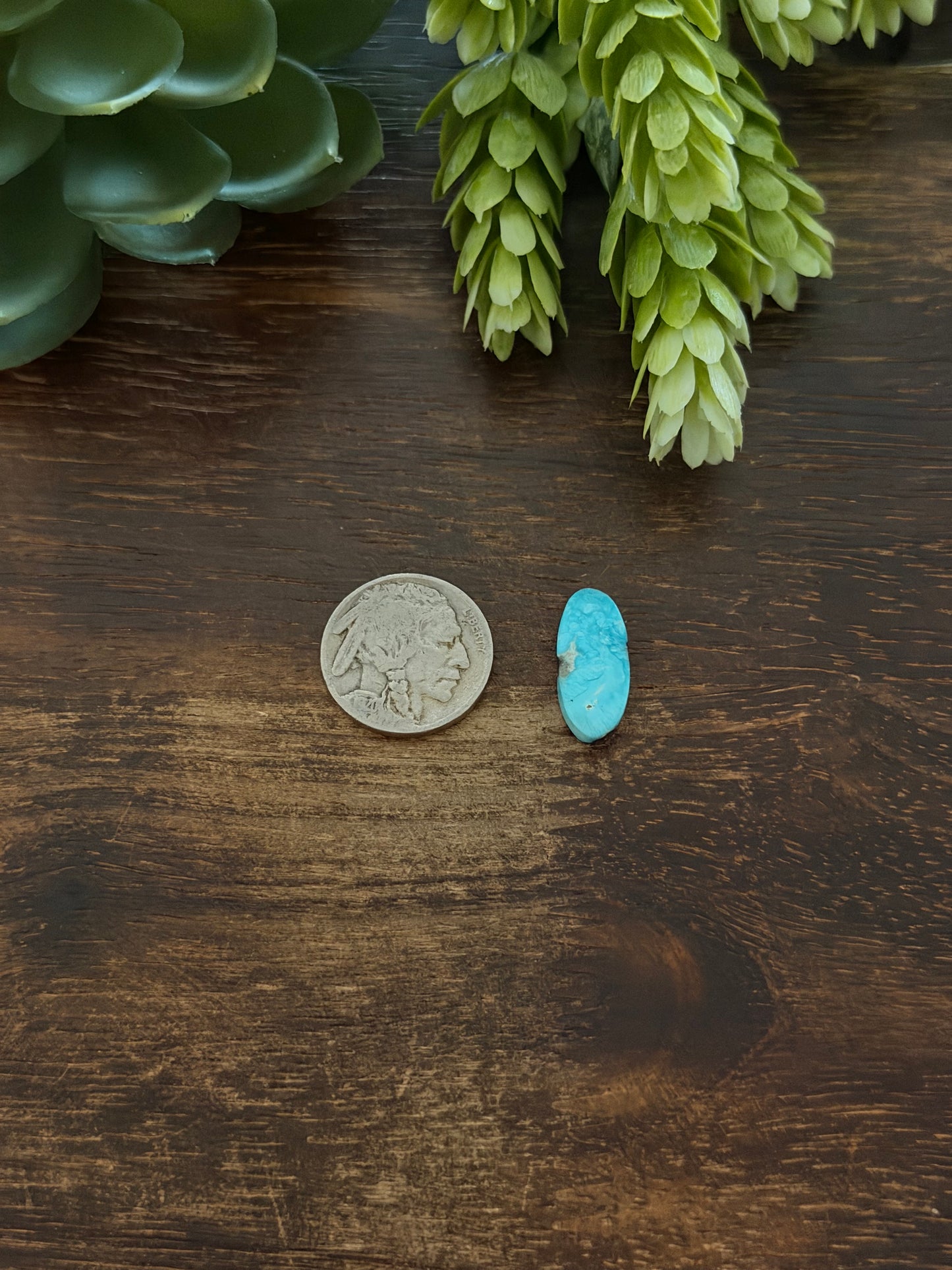Blue Bird Turquoise Cab