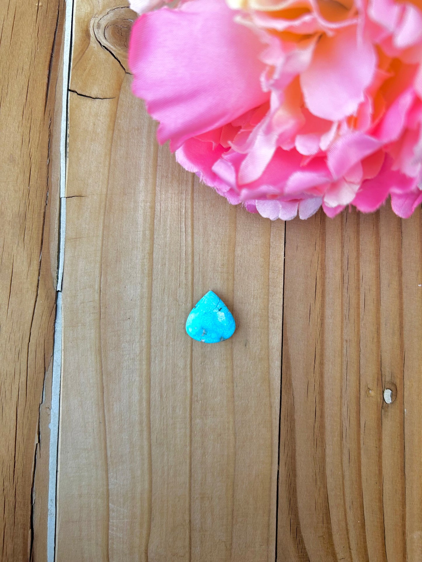 Blue Bird Turquoise Cabs