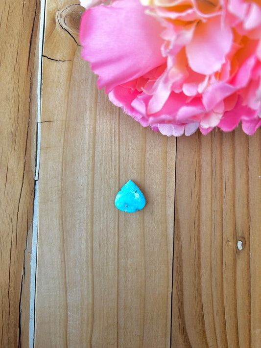 Blue Bird Turquoise Cabs