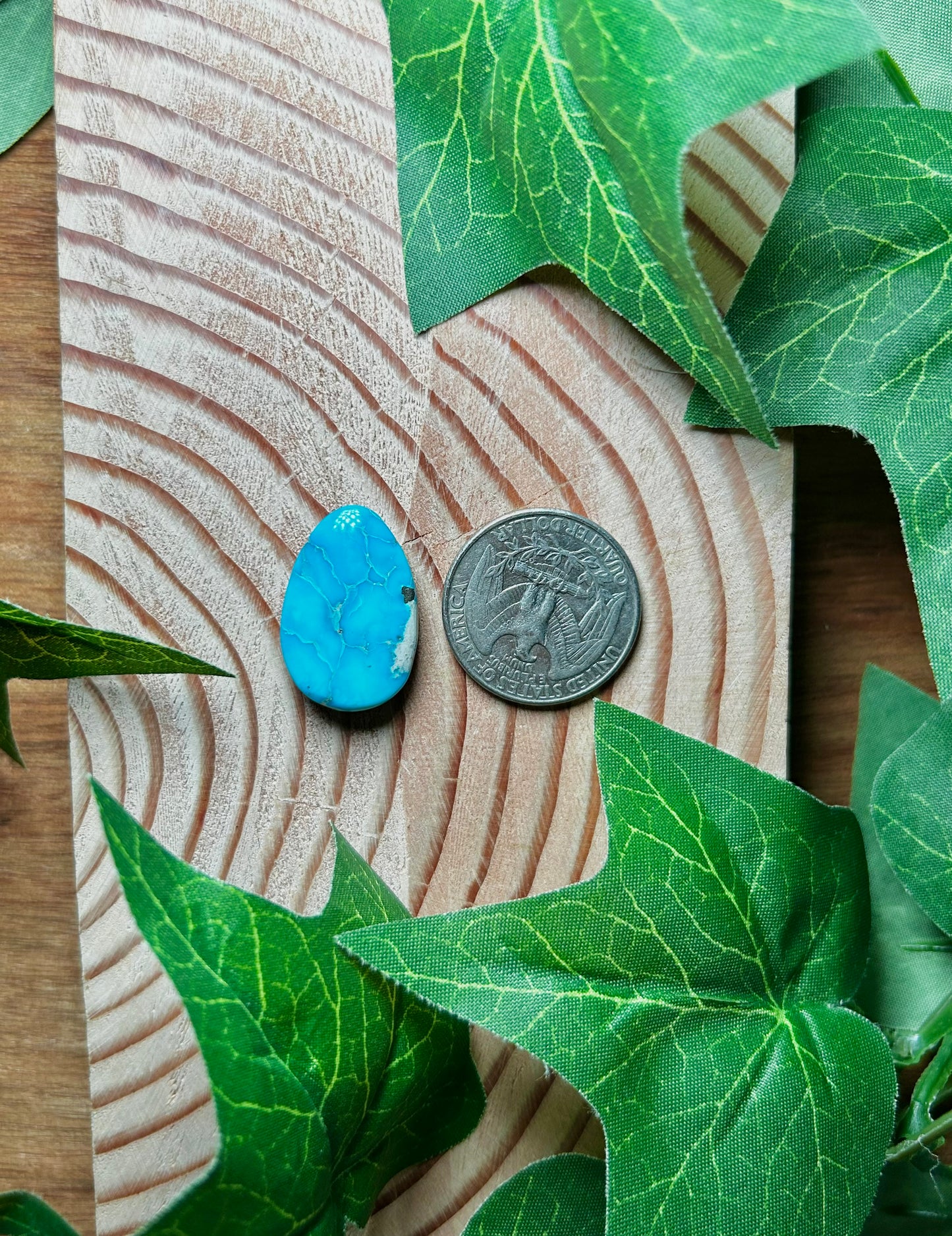 Blue Bird Turquoise Cabs