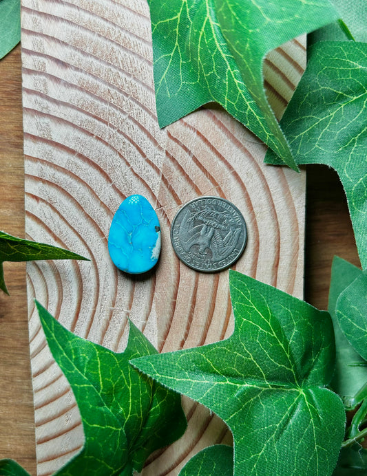 Blue Bird Turquoise Cabs
