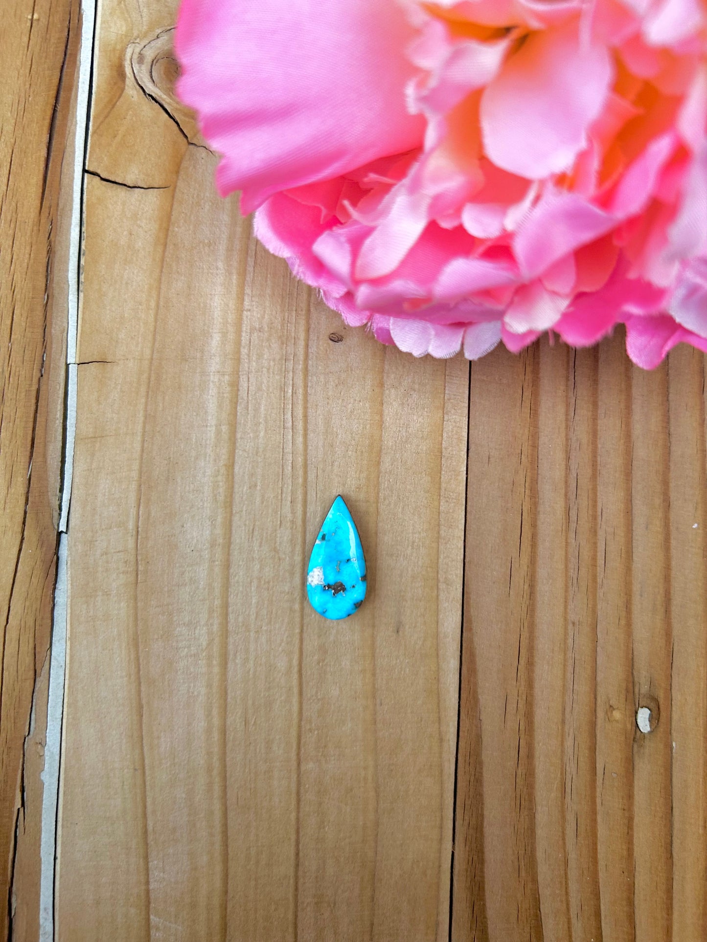 Blue Bird Turquoise Cabs