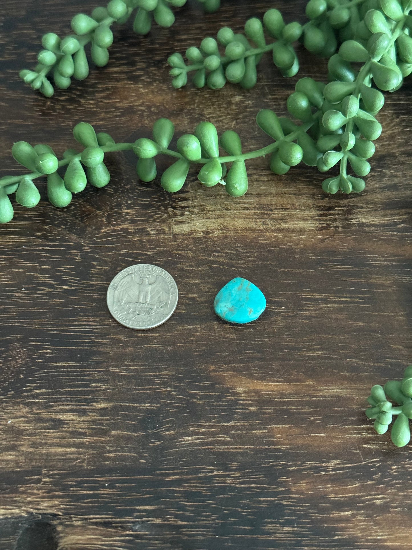 Kingman Turquoise Cab
