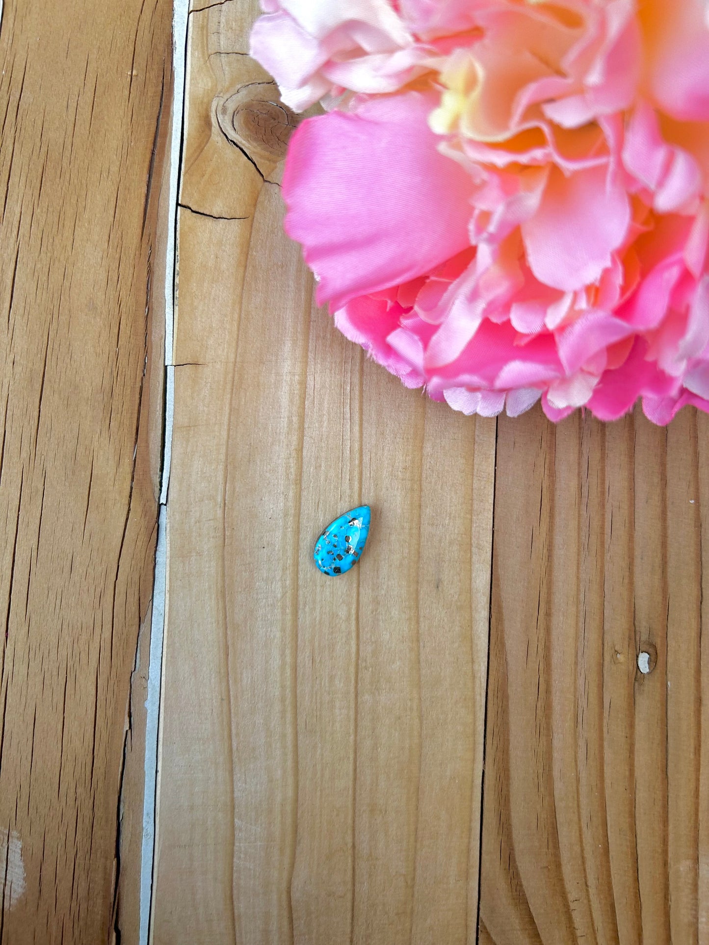 Blue Bird Turquoise Cabs