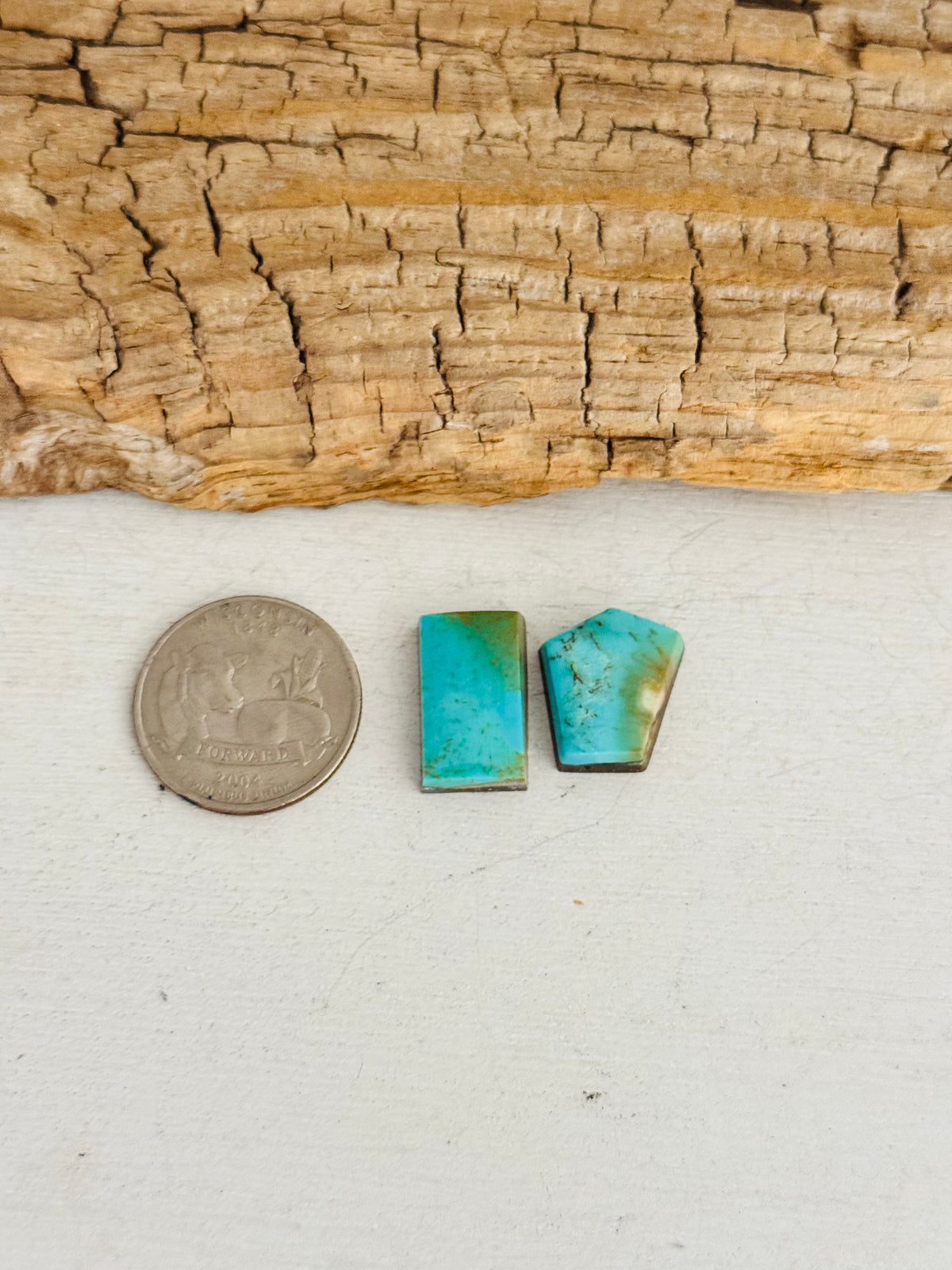 Natural Kings Manassa Turquoise Cabs