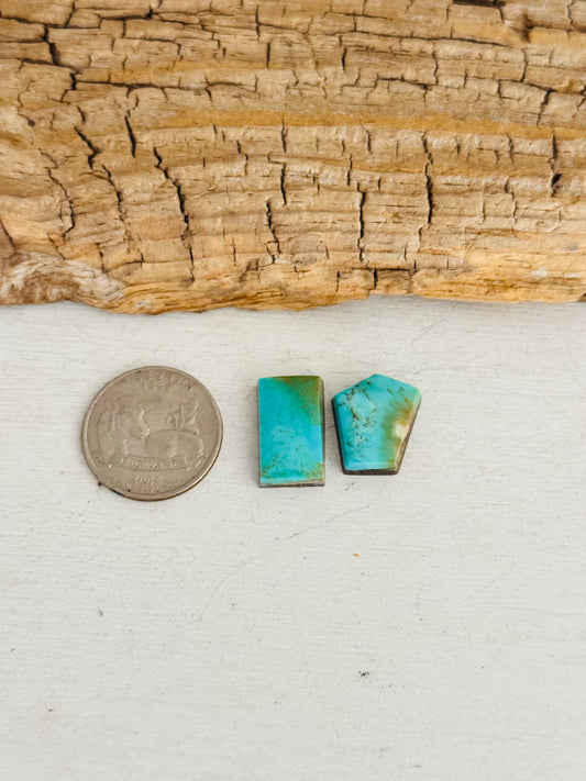 Natural Kings Manassa Turquoise Cabs