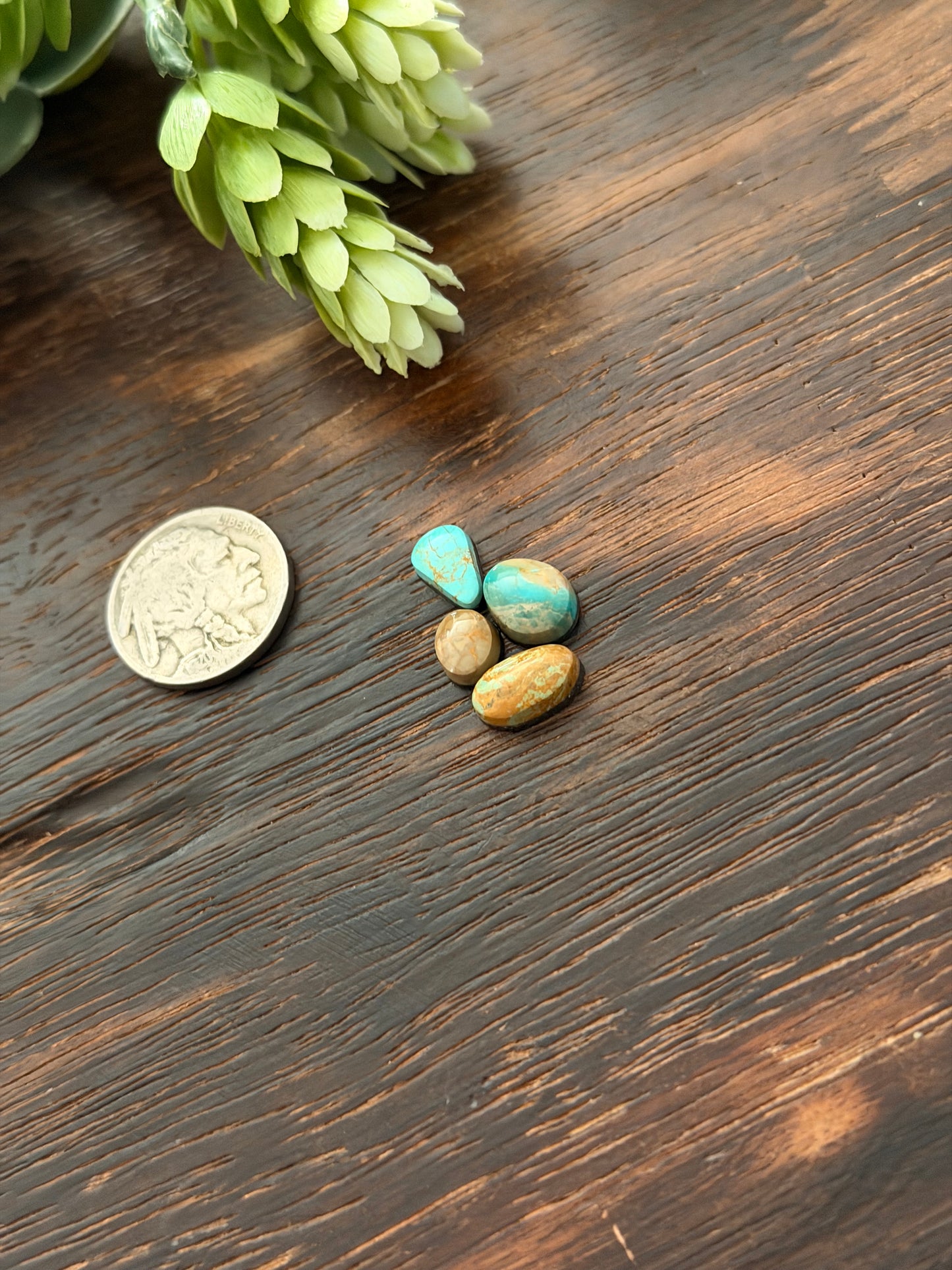 Evans Turquoise Cabs