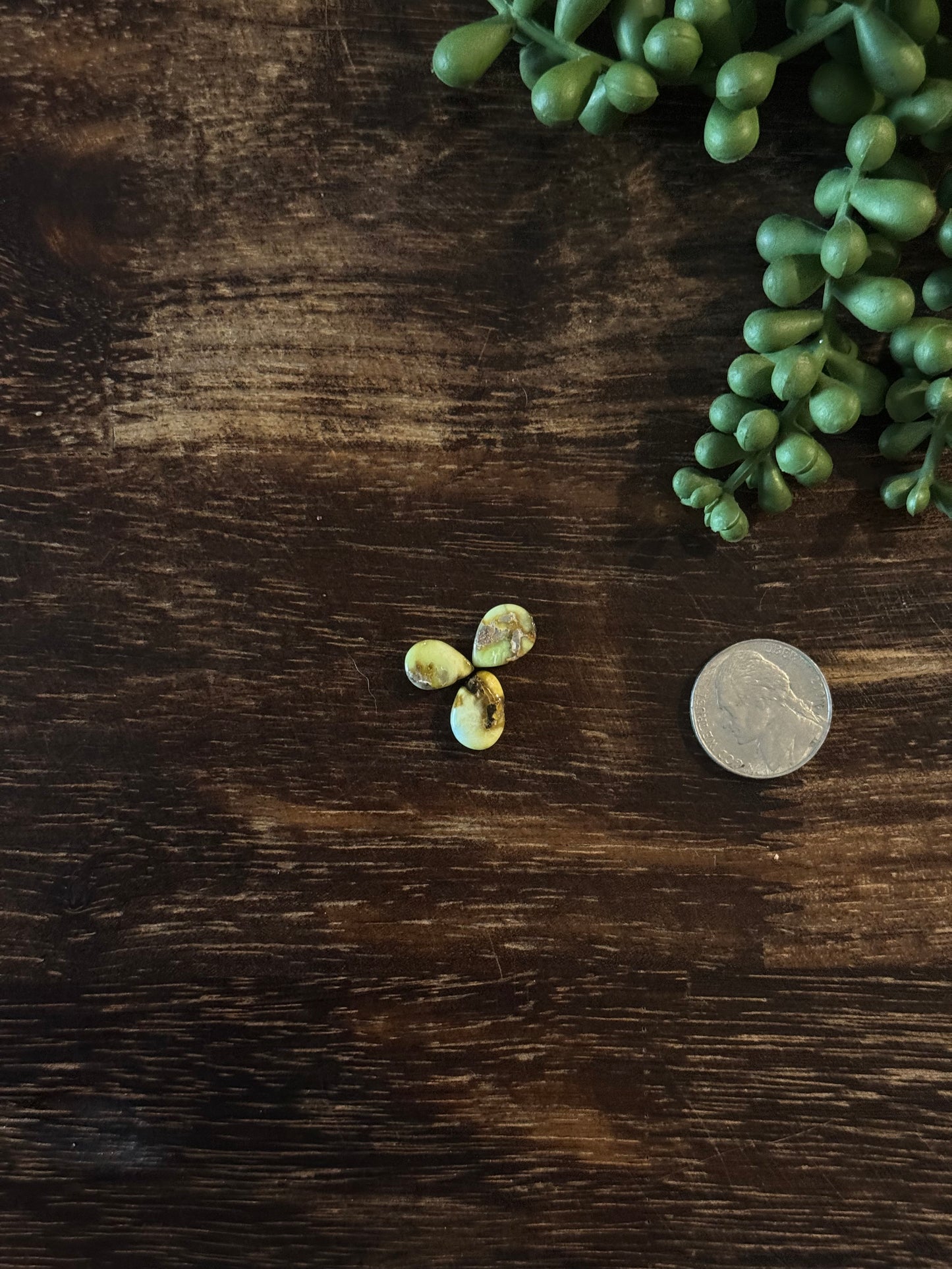 Palomino Variscite Cabs