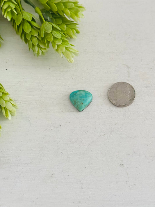 Kingman Turquoise Cab