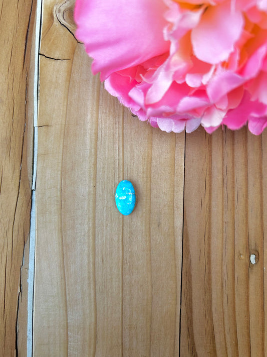 Blue Bird Turquoise Cabs