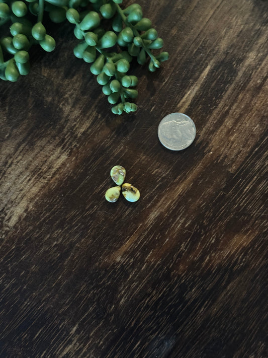 Palomino Variscite Cabs