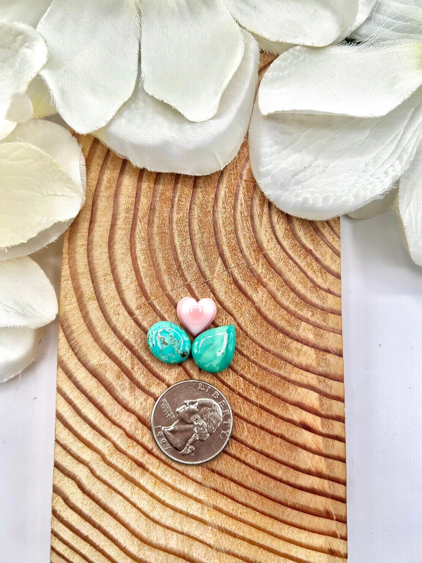 Evan’s Turquoise & Pink Conch Cabs