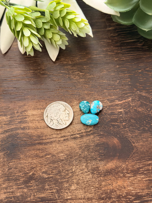 White Water Turquoise Cabs