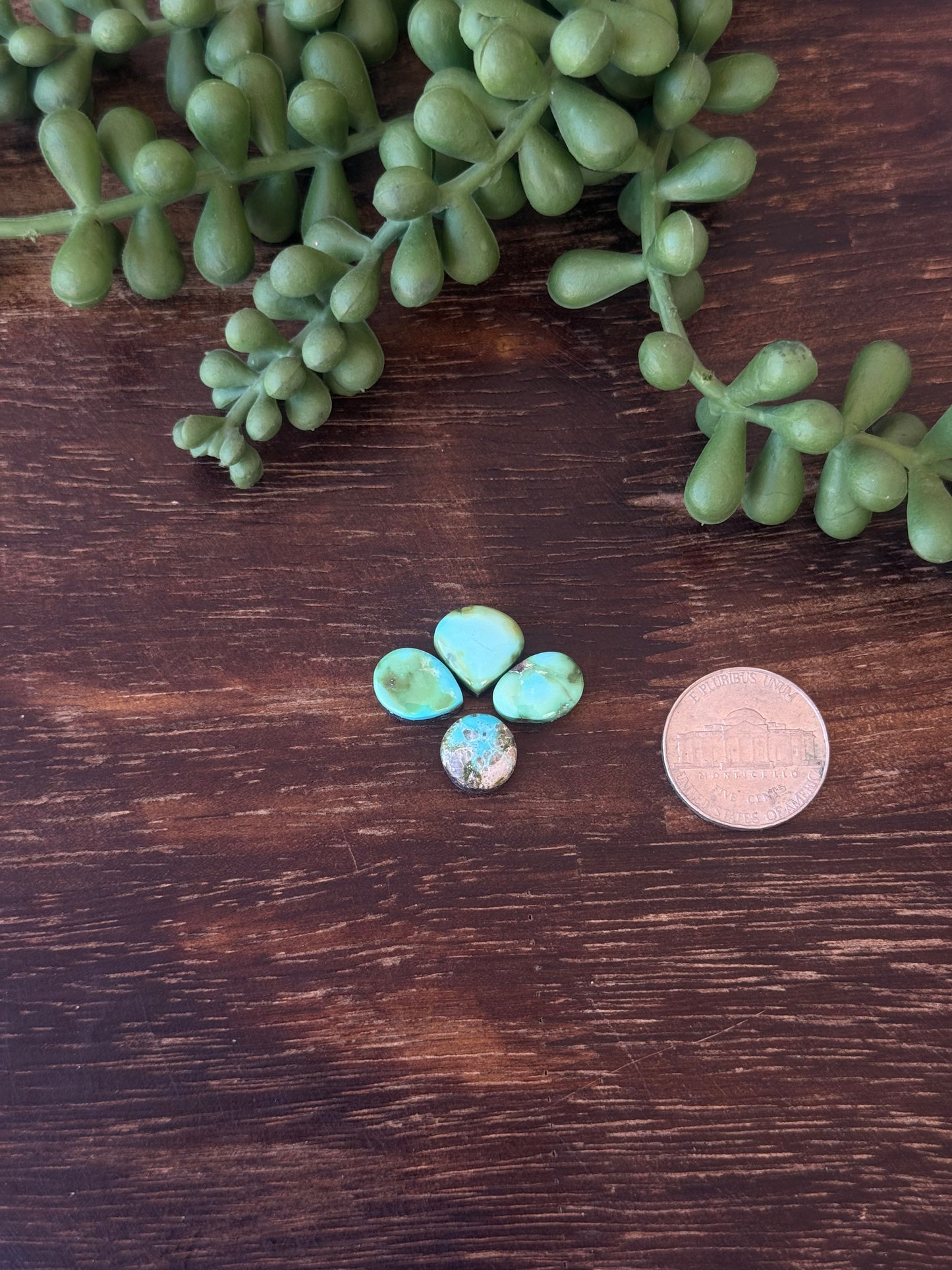 Sonoran Mountain Turquoise Cabs