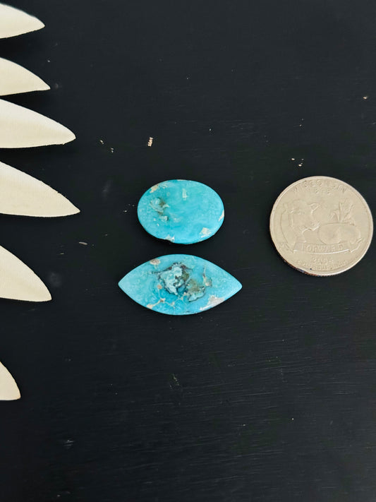 Blue Bird Turquoise Cabs