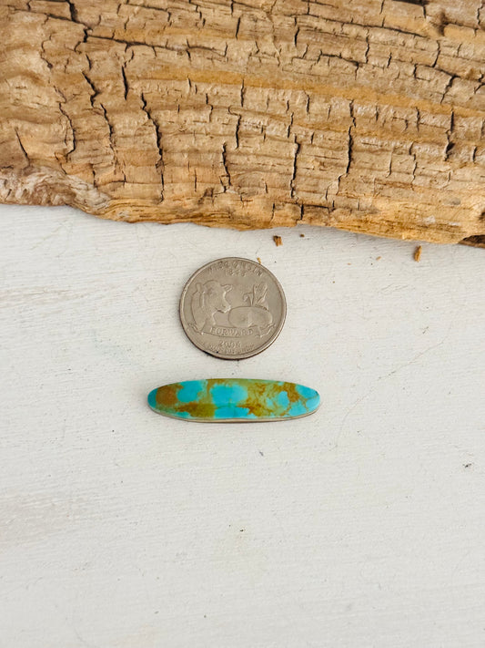 Natural Kings Manassa Turquoise Cab