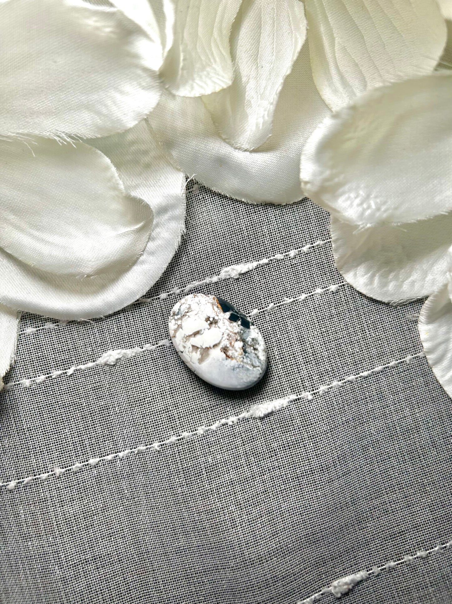 White Buffalo Cabs