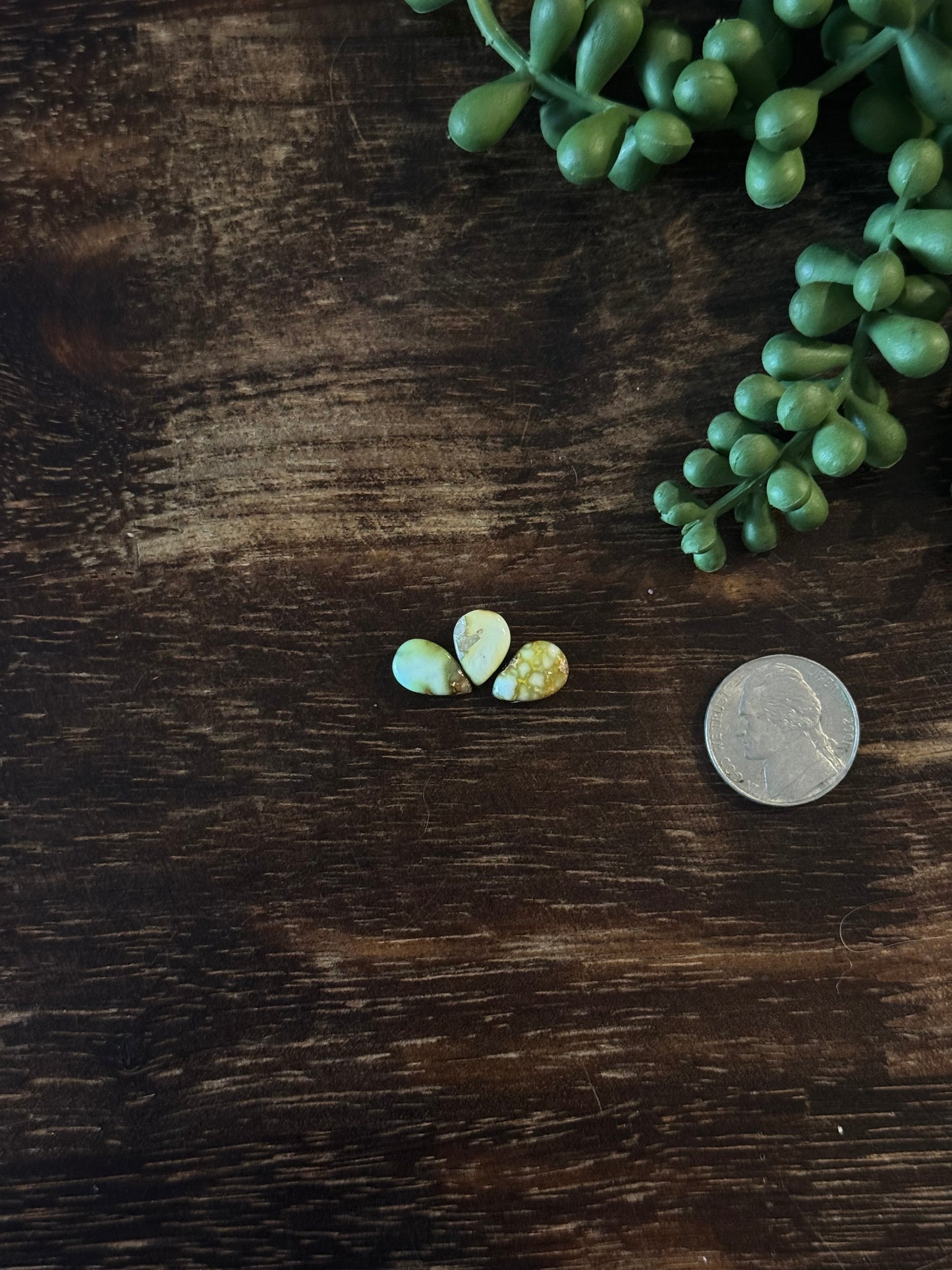 Palomino Variscite Cabs