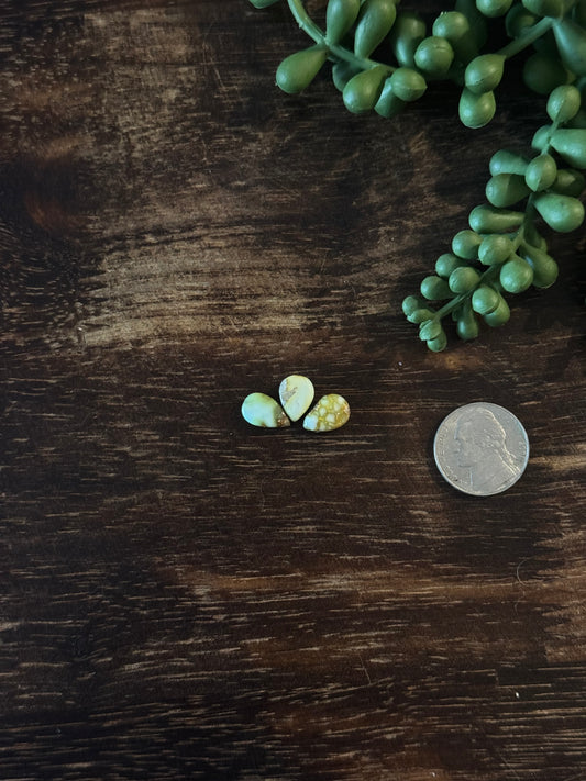 Palomino Variscite Cabs