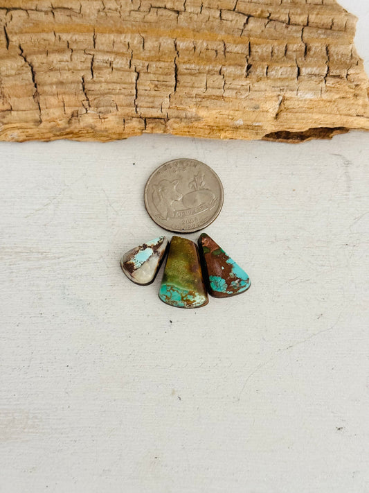 Natural Kings Manassa Turquoise Cabs