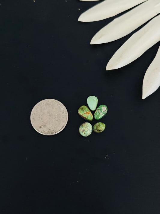 Natural Sonoran Gold Turquoise Cabs