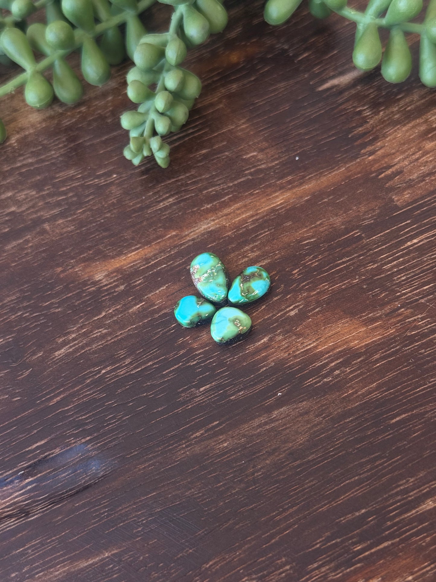 Sonoran Mountain Turquoise Cabs