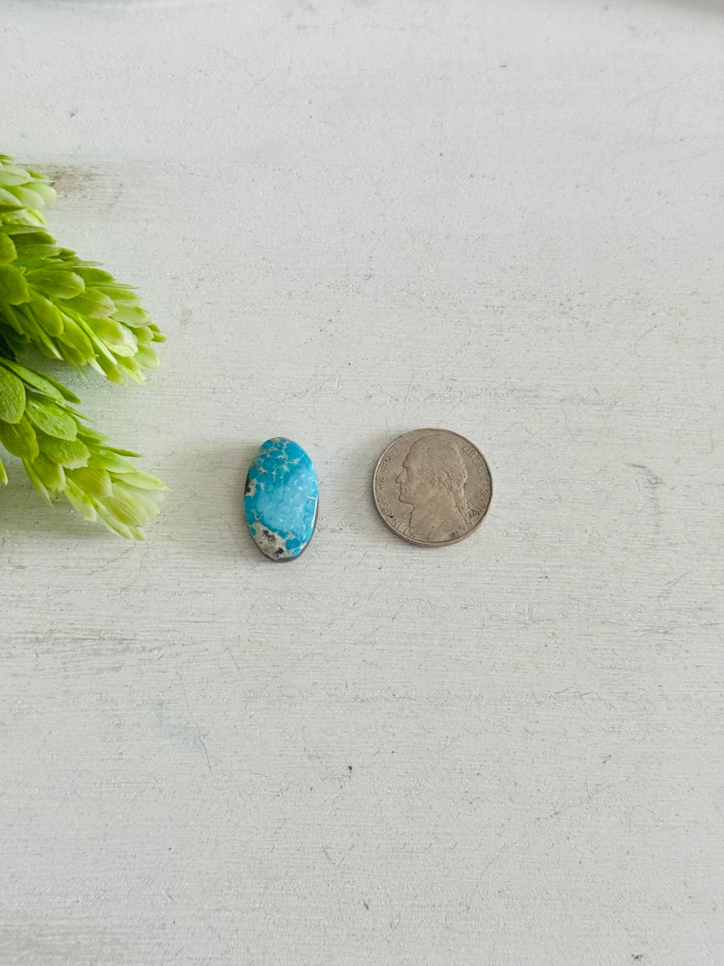 Blue Bird Turquoise Cab