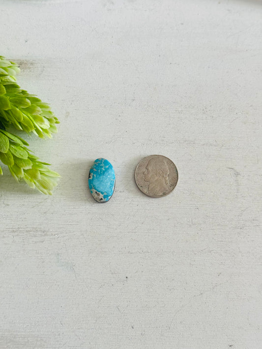 Blue Bird Turquoise Cab