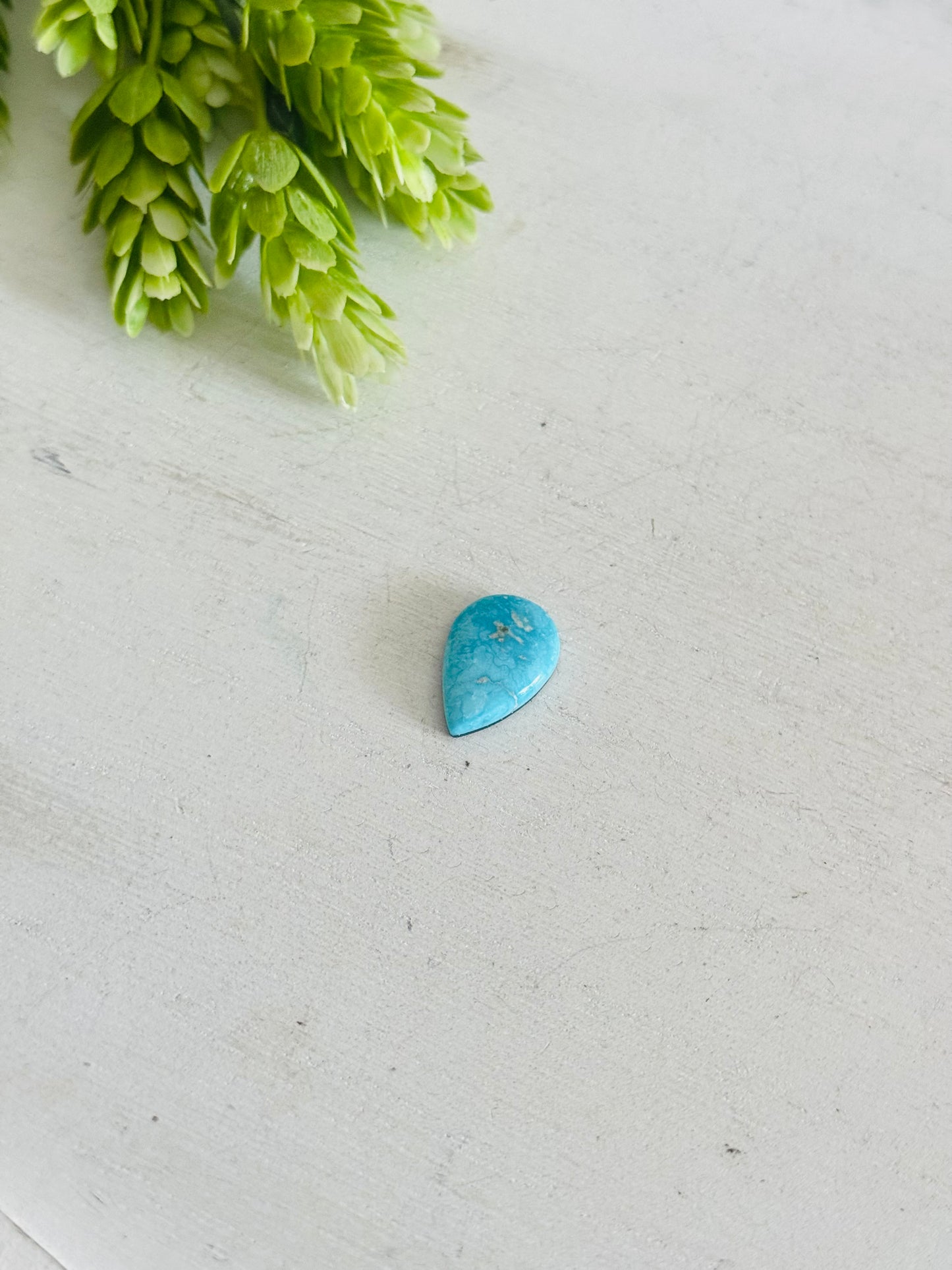 Blue Bird Turquoise Cab