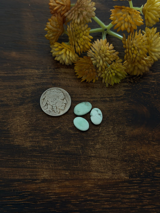 Paloma Variscite Cabs