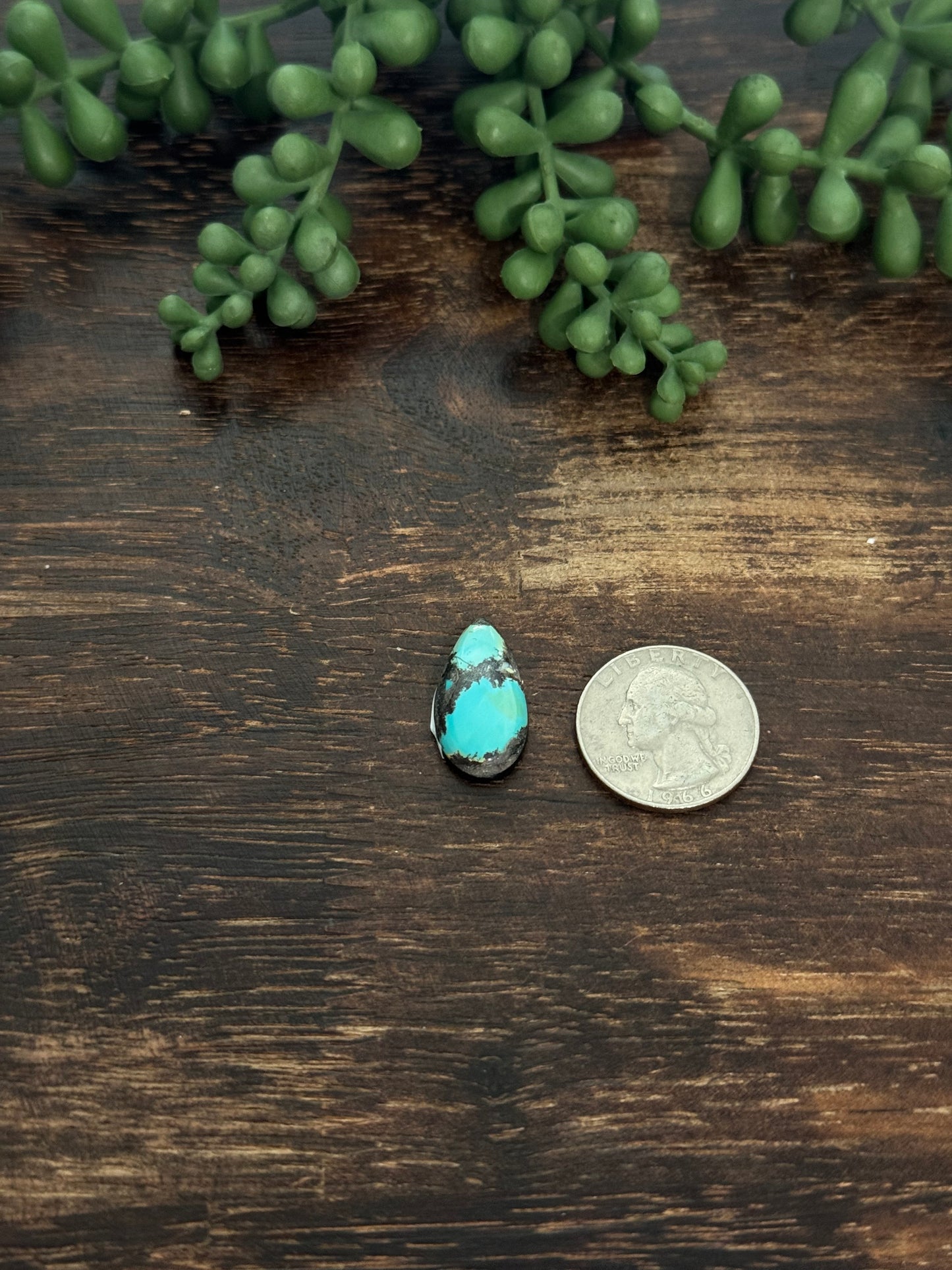 Black Jack Turquoise Cab